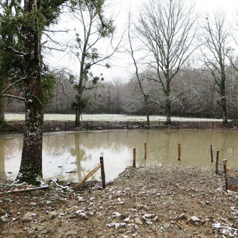 22 mares restaurées et créées dans l’Yonne et la Nièvre @© L. LEPRETRE