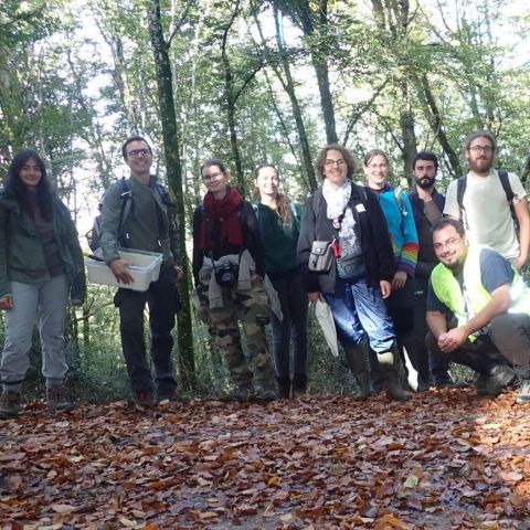 Retour sur un week-end dédié aux Myriapodes @© M. CARNET