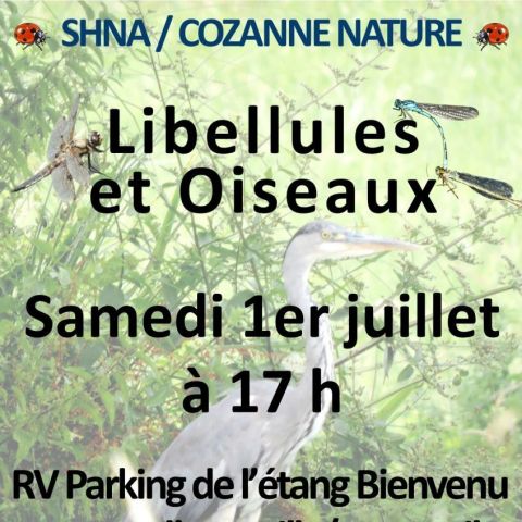  @Cozanne Nature