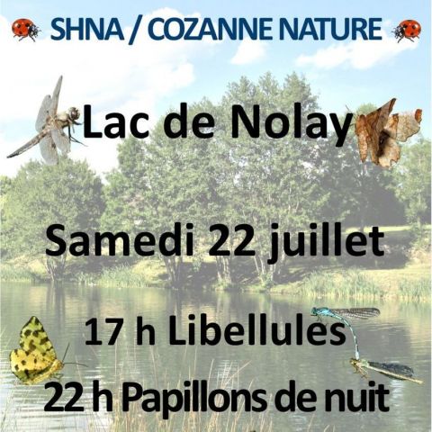  @Cozanne Nature