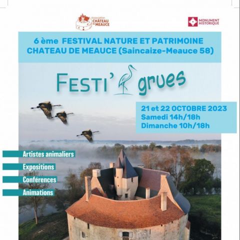 Festi' grues