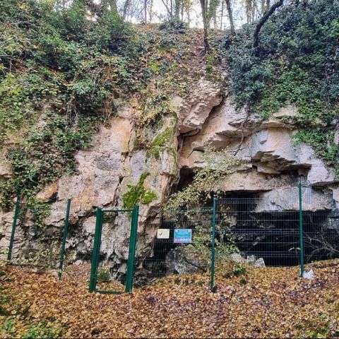  @© Alexandre Cartier