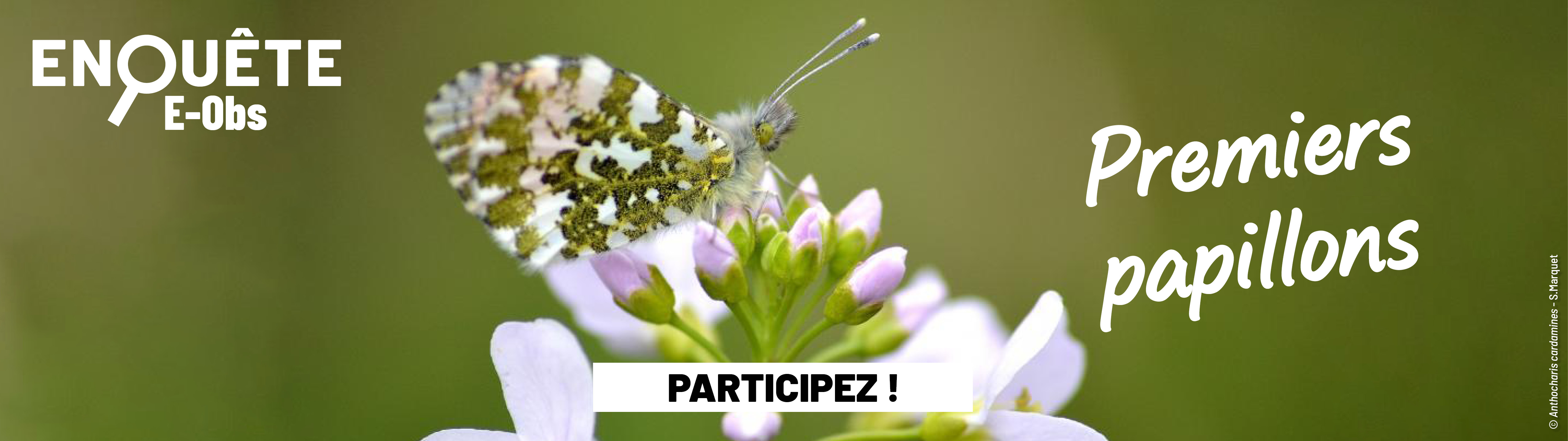 Société d'histoire naturelle d'Autun-Observatoire de la faune de Bourgogne