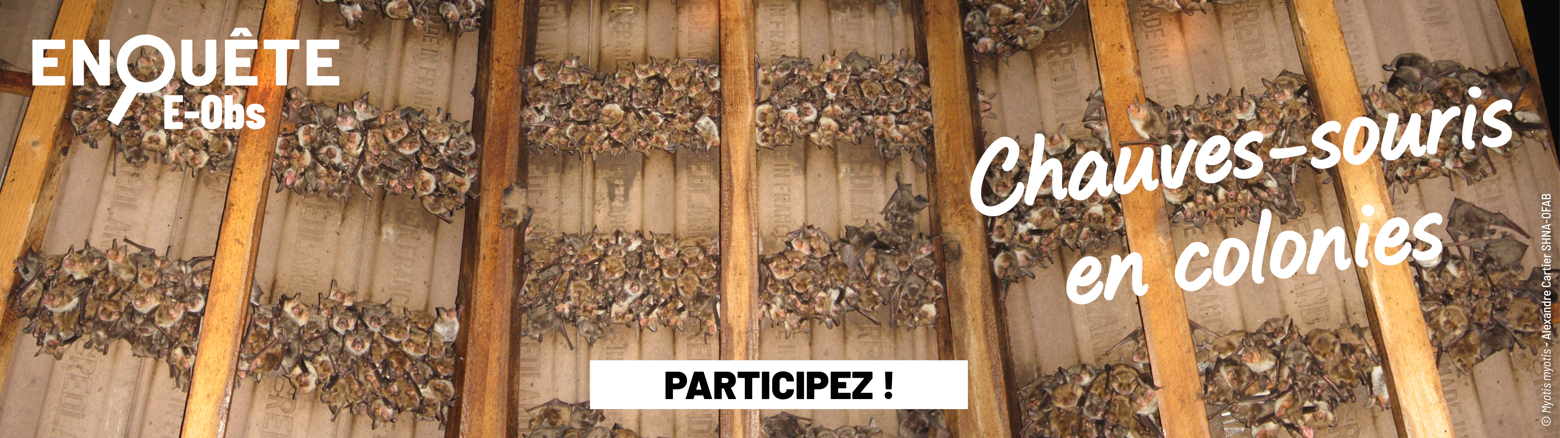 Société d'histoire naturelle d'Autun-Observatoire de la faune de Bourgogne