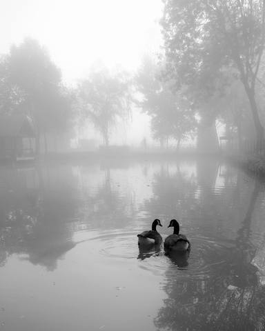 amour en eaux troubles