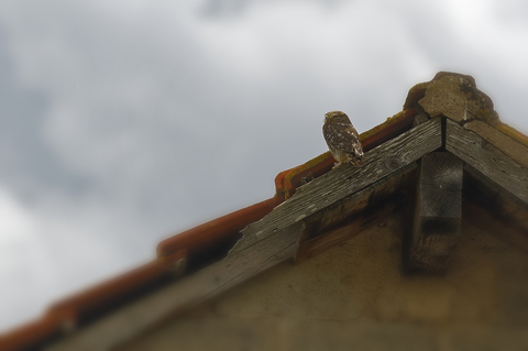 Aux Aguets