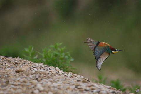 Décollage sous la pluie