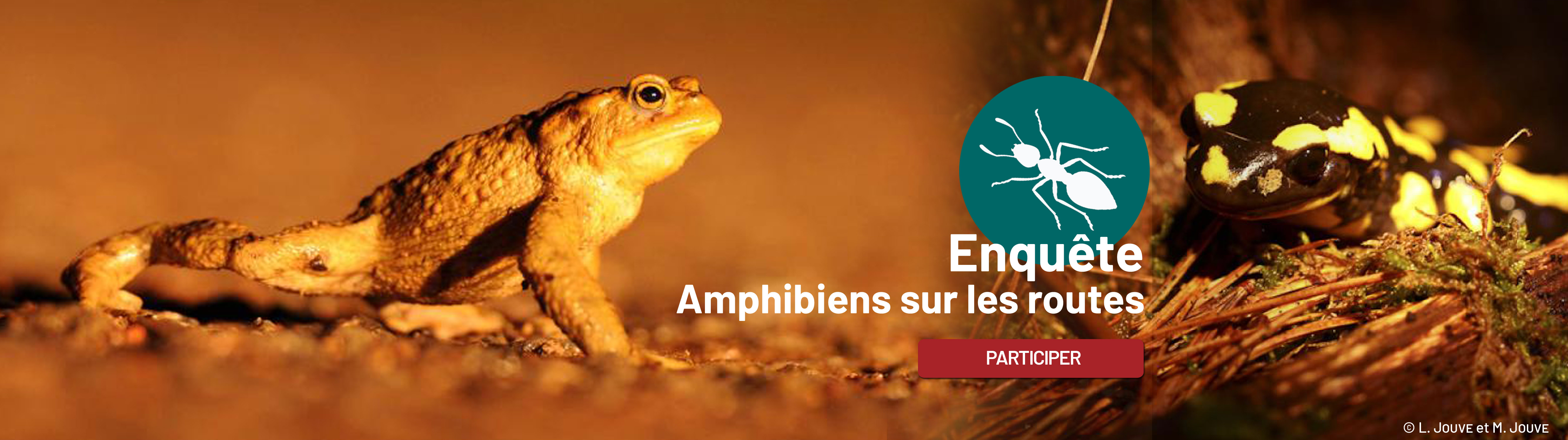 Société d'histoire naturelle d'Autun-Observatoire de la faune de Bourgogne