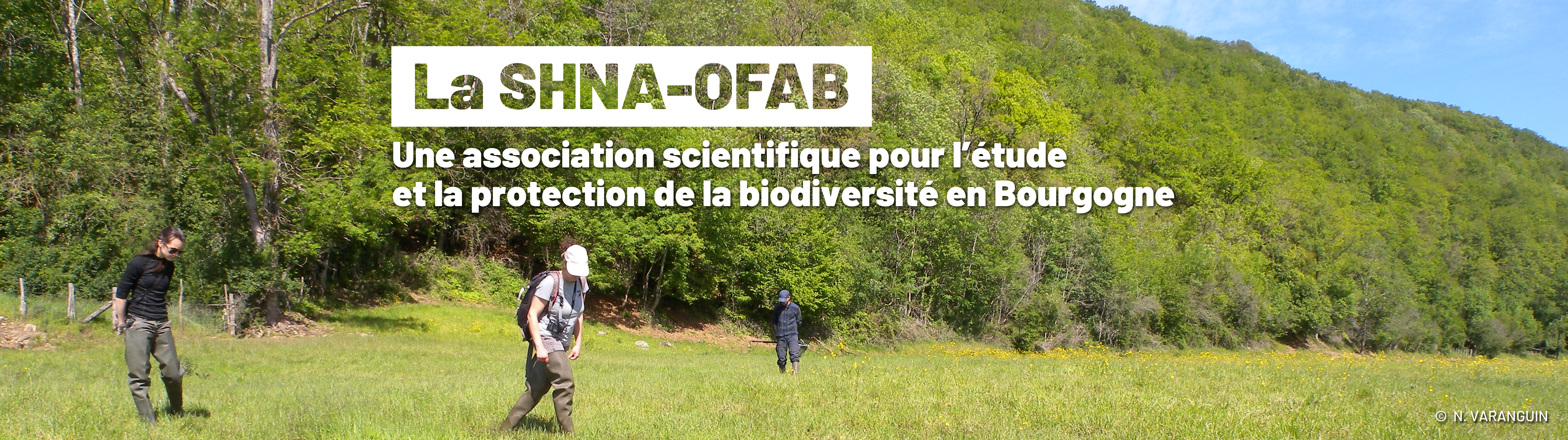 Société d'histoire naturelle d'Autun-Observatoire de la faune de Bourgogne