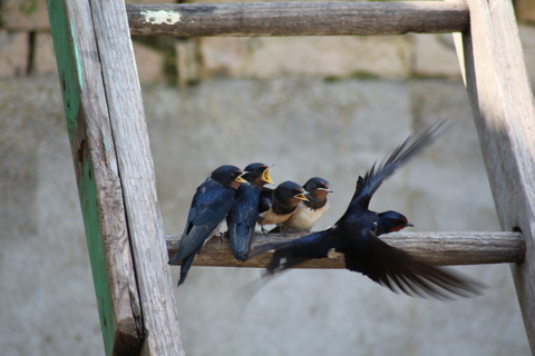 On a faim ! 