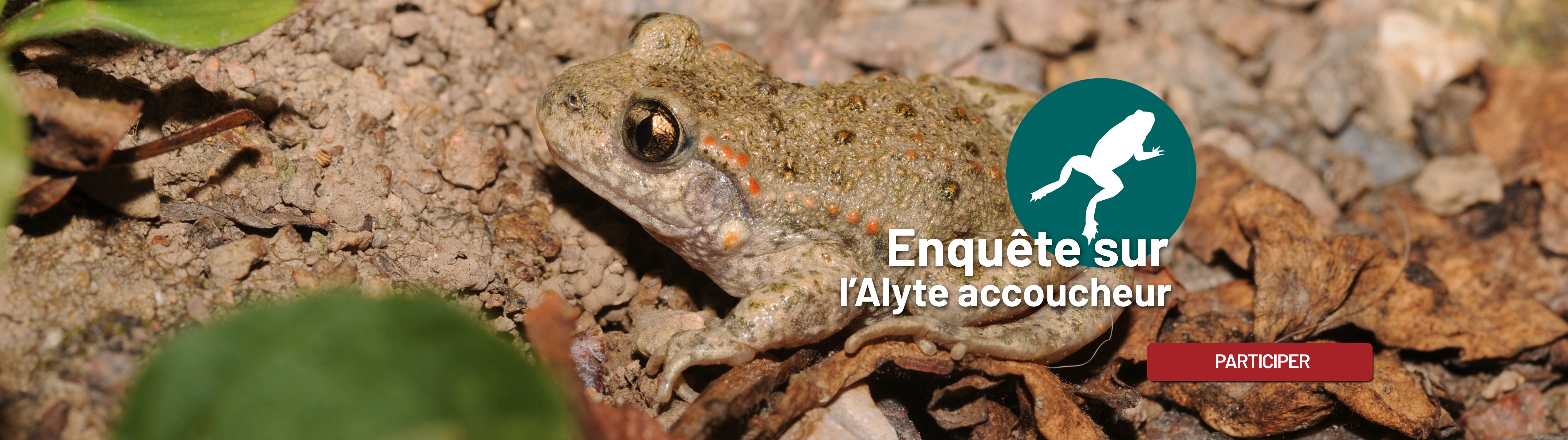 Société d'histoire naturelle d'Autun-Observatoire de la faune de Bourgogne